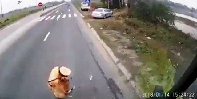 Hình ảnh cảnh sát giao thông Hà Nam gây xôn xao dư luận thời gian vừa qua (ảnh cắt từ clip).