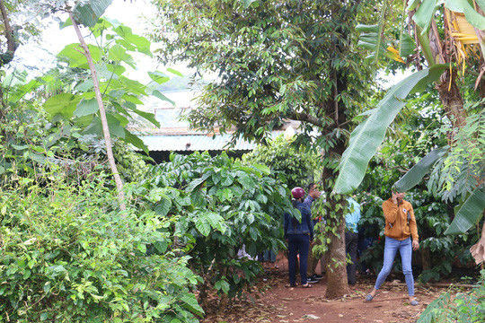 Khu vực chòi rẫy nơi phát hiện thi thể 2 người