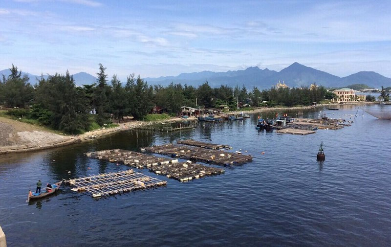 Khu vực phát hiện thi thể