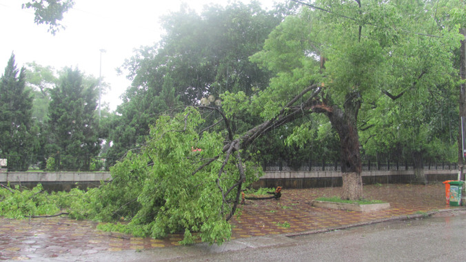Cây cối gãy đổ ven đường TP Lạng Sơn. Ảnh: Duy Chiến