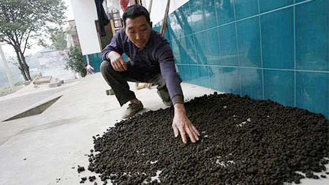 Những kiểu chữa bệnh… “chết người” 