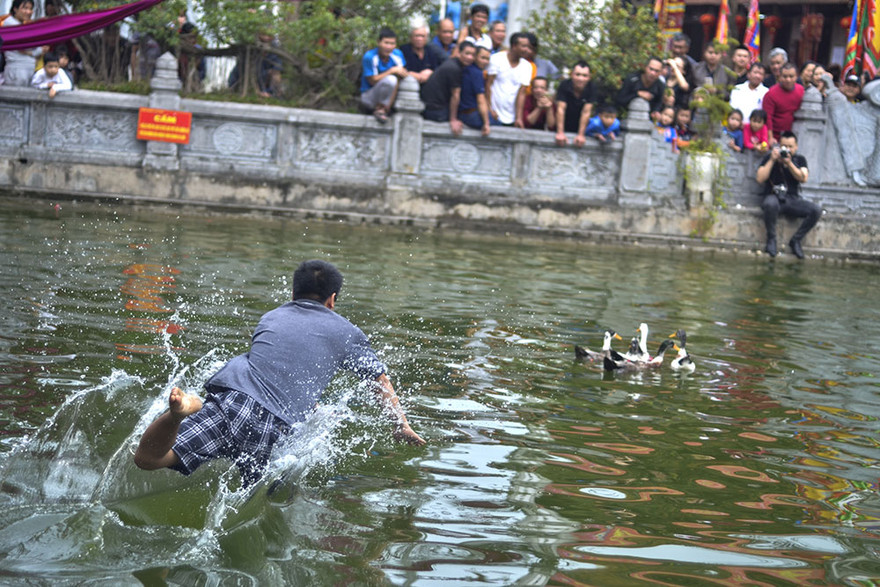 Hàng năm, sau phần tế lễ khai hội xuân, hàng trăm người dân đã tập trung tại hồ nước trước đình Vạn Phúc (Hà Đông, Hà Nội) để tham dự phần thi bắt vịt do đoàn thanh niên của phường Vạn Phúc tổ chức. Ảnh: Thanh Hà.