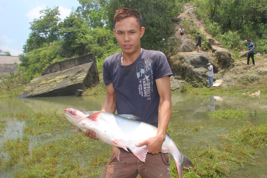 Hàng trăm người đổ xô bắt cá 'khủng' ở thủy điện Trị An