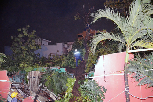 Hiện trường vụ cây ngã đè bốn nhà dân. Ảnh: Sơn Hòa.