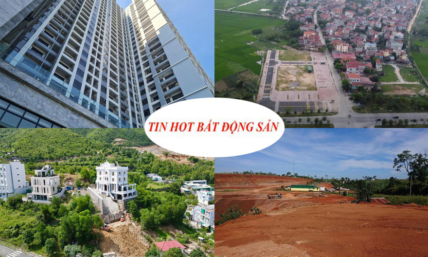 Hà Nội đấu giá lại đất liền kề bỏ cọc, giá căn hộ chung cư bất thường