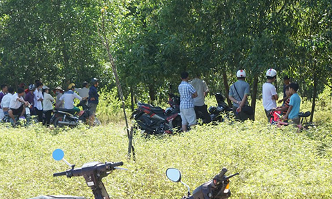 Khu rừng tràm nơi phát hiện thi thể nam thanh niên