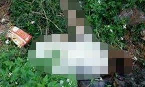 Hiện trường vụ việc