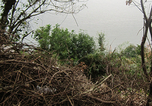 Khu vực phát hiện thi thể nam thanh niên. Ảnh: VnExpress