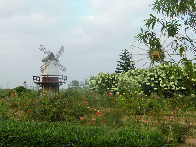 Ngay từ lối vào, vườn hoa bãi đá sông Hồng đã khiến du khách phải ngẩn ngơ vì vẻ đẹp yên bình, dịu dàng và gần gũi