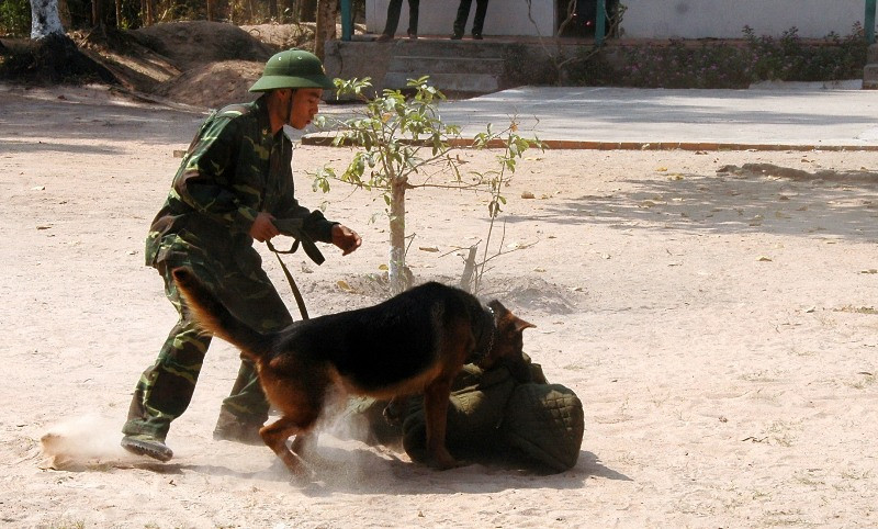 Biên phòng An Giang trấn áp tội phạm vùng biên