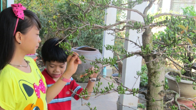 Dự thi ảnh: Bà Rịa - Vũng Tàu vào xuân