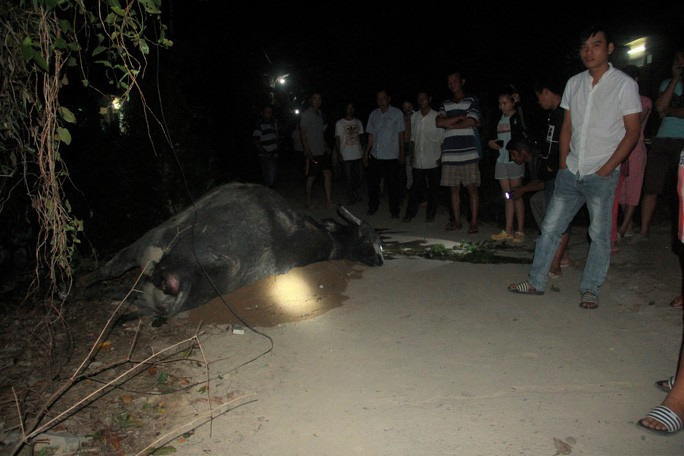 Hiện trường sự vụ