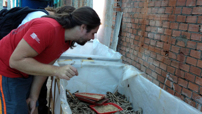 Tham quan trại dế Thiện An. Ảnh: K.A