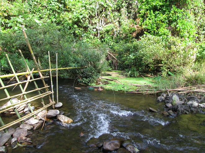 Hiện trường nơi anh Hoài phát hiên thi thể mẹ con chị Yến. Ảnh: L.P