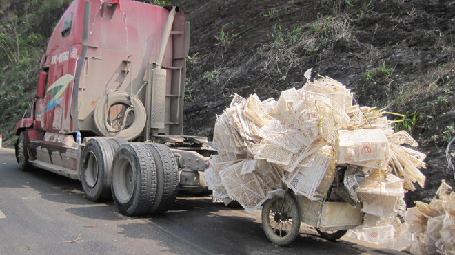 Nhãn đã được thu gom nhiều thùng thế này