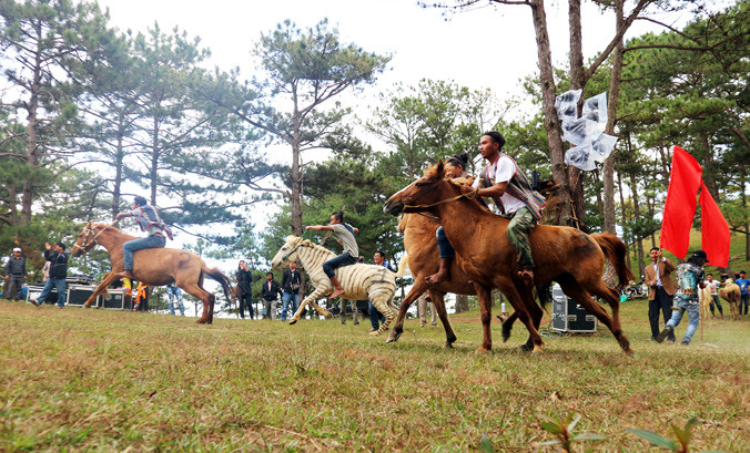 Quang cảnh cuộc đua.