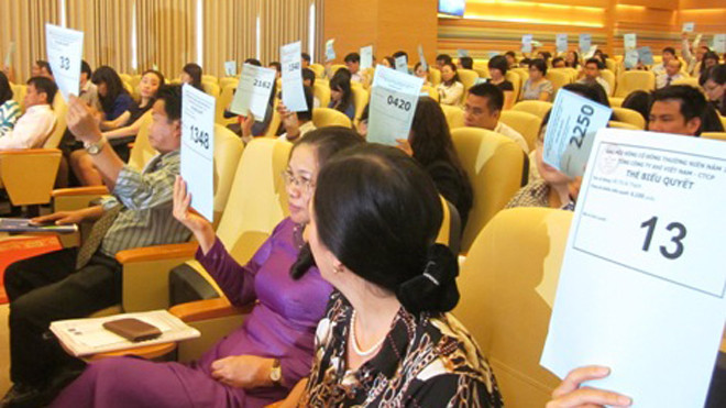 Cổ đông thông qua kế hoạch sản xuất kinh doanh 2014. Ảnh: Hồng Châu.