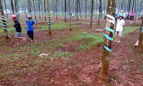 Hiện trường vụ án mạng. Ảnh: Xuân Thắng.