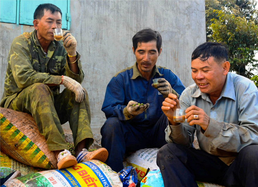 Những người nông dân tranh thủ uống cà phê lúc nghỉ giải lao.