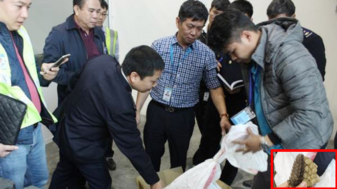 Lực lượng chức năng khám xét lô hàng vi phạm chứa vẩy tê tê