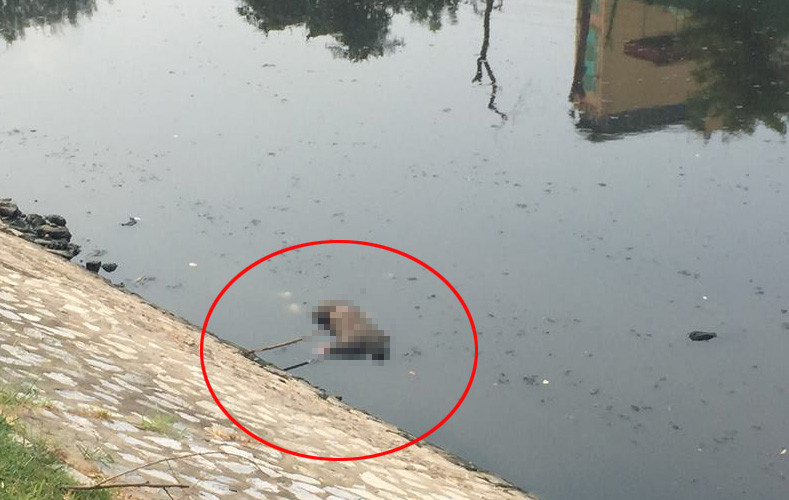 Thi thể nạn nhân được người dân phát hiện.