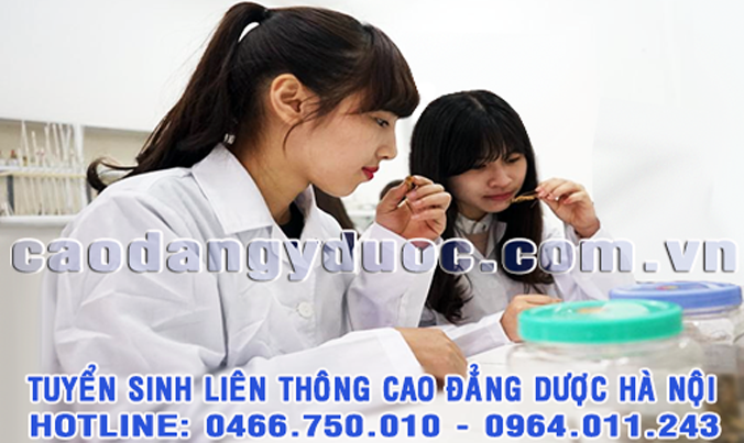 Liên thông Cao đẳng Dược chính quy ở đâu đạt chuẩn Bộ Y tế?