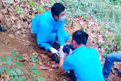 Khám nghiệm hiện trường.