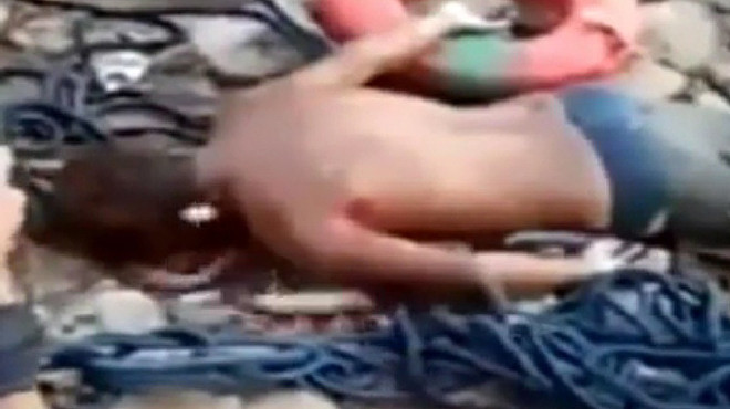 Ghê rợn cảnh cá chui ra từ xác người