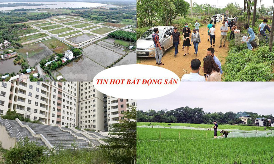 Xôn xao đất chưa 'sạch' đã bán đấu giá, thêm khách hàng tố chủ 'siêu' dự án 125ha lừa đảo