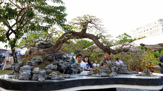 Tác phẩm Vươn xa có giá 200 triệu đồng. Ảnh: Đình Tuyển.