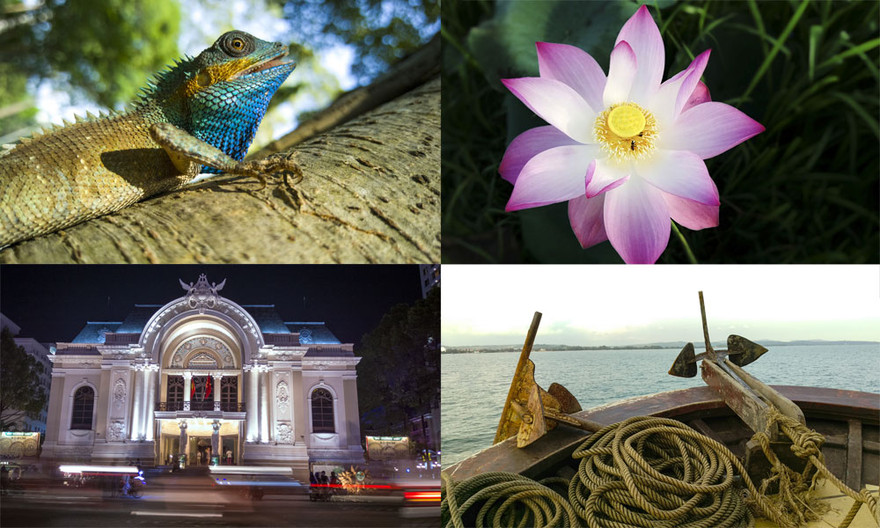 Ngắm những bức ảnh tuyệt đẹp từ HTC One M9