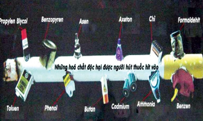Khói thuốc lá chứa aceton là chất tẩy trong thuốc sơn móng tay, amoniac là chất tẩy rửa sàn nhà và bồn vệ sinh, DDT/Dieldrin là thuốc trừ sâu... 