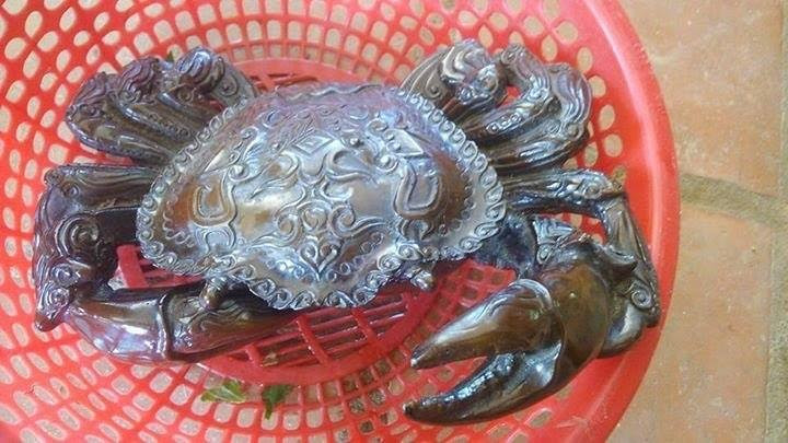 Hình ảnh con cua được người tên H chuyển cho phóng viên.