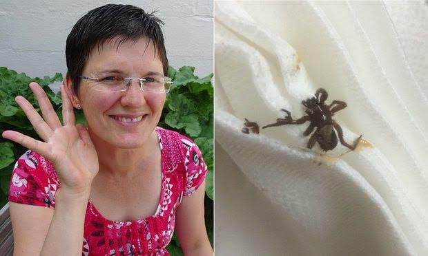 Tìm thấy con nhện sống khỏe mạnh ở trong tai.