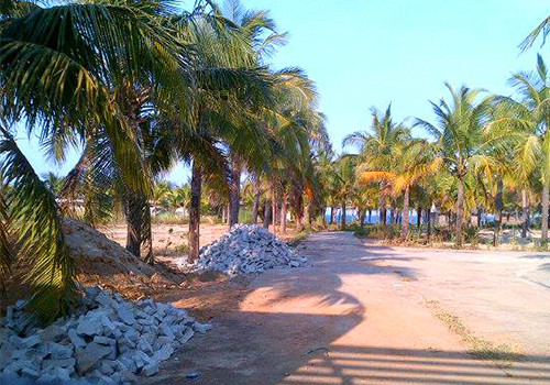 Nhiều dự án ven biển nằm chỉ trồng cây, đổ đá rồi bất động nhiều năm nay. Ảnh: Nguyễn Đông.