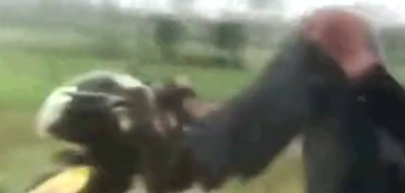 Ảnh cắt từ clip