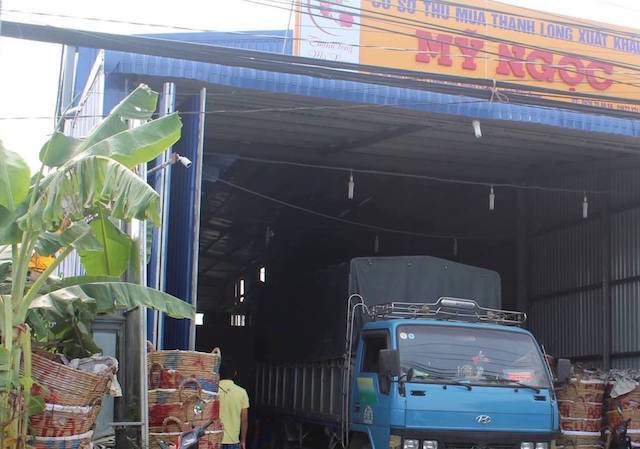 Cơ sở thu mua thanh long, nơi xảy ra vụ cướp