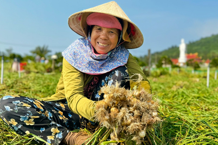 Tỏi cô đơn cực kỳ hiếm