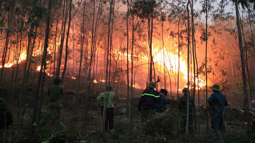 Hiện trường cháy rừng đêm 28/5. Ảnh: Hoàng Lam.