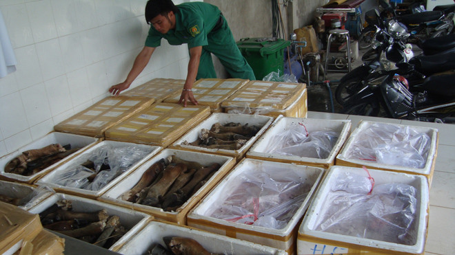  Một lô chân trâu bò bẩn được nhập về tìm cách đưa đến các cơ sở chế biến tiêu thụ bị thú y TPHCM bắt giữ. ảnh: L.N