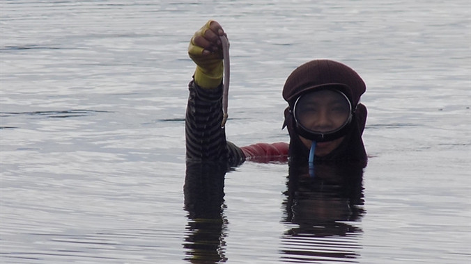 Việc lặn bắt sá sùng được xem là hiệu quả hơn.