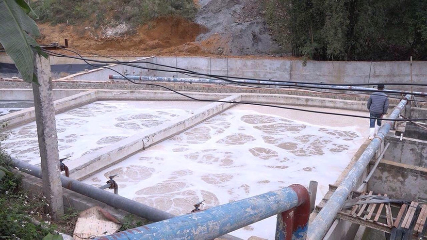 Bể xả của Cty Nguyên Hồng, gây ô nhiễm nghiêm trọng. Ảnh: DC