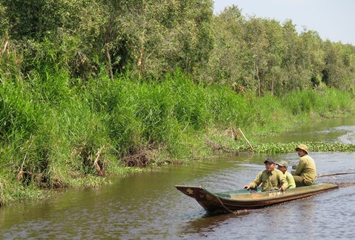Kiểm lâm tuần tra rừng tràm U Minh Hạ.