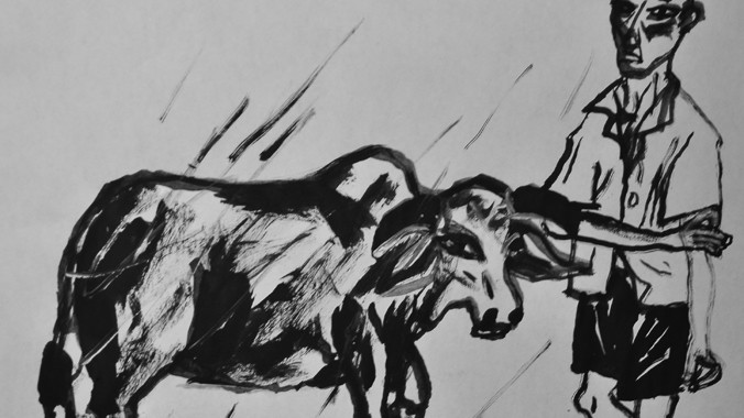 Minh họa: đỗ phấn