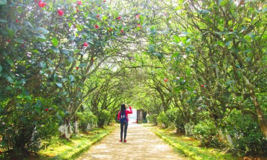 Độc đáo nhà vườn Huế