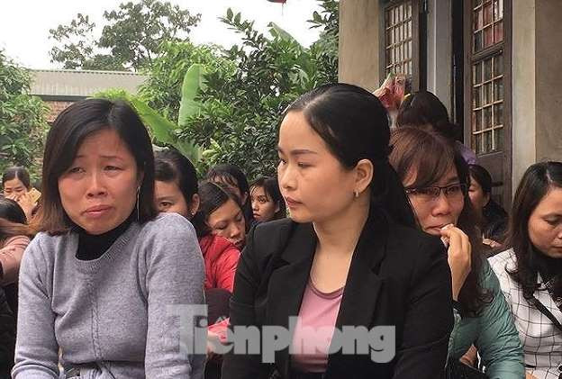 Gần 300 giáo viên ở Sóc Sơn có nguy cơ thất nghiệp.