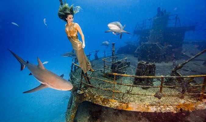 Người mẫu liều mình lặn cùng cá mập để chụp ảnh