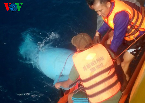 Trục vớt mảnh vỡ máy bay. Ảnh VOV