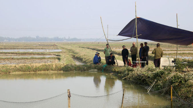 Hồ cá nơi hai cháu nhỏ bị đuối nước.