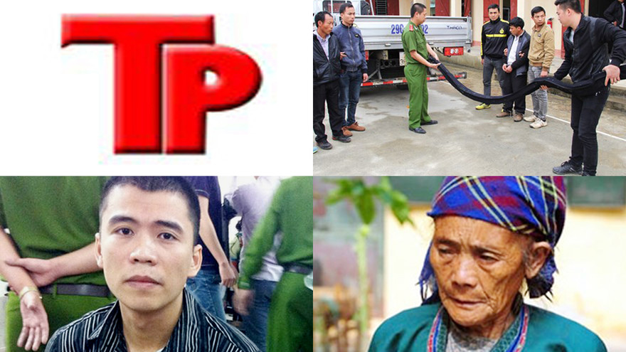 Bản tin Hình sự 18H: Đi massage, quý ông bị các 'kiều nữ' móc túi tiền triệu